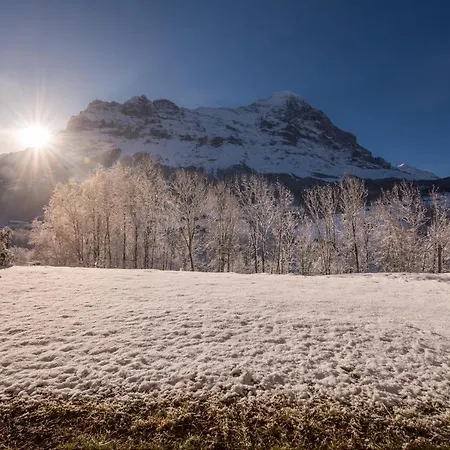 Billabong Grindelwald