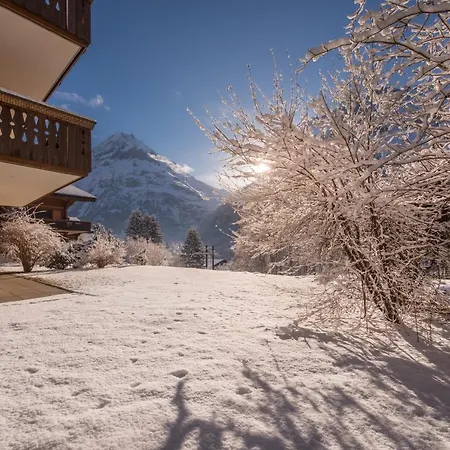 Billabong Apartment Grindelwald