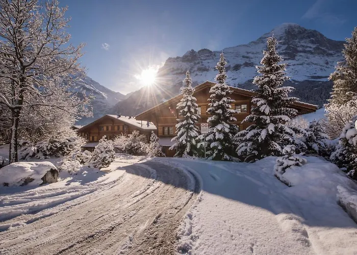 Billabong Grindelwald