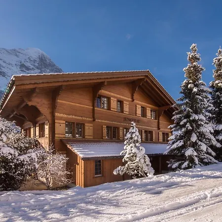 Billabong Apartmán Grindelwald