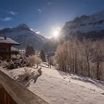 Billabong Apartment Grindelwald
