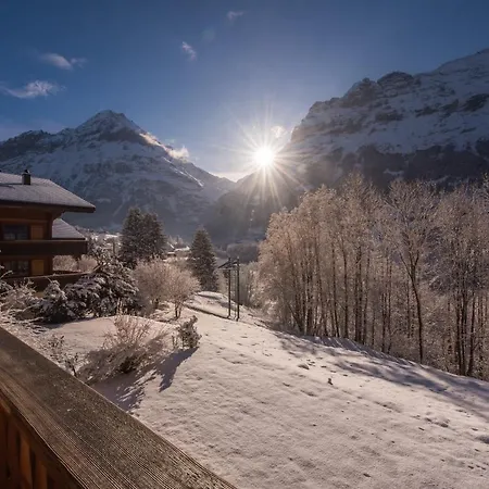 Billabong Lejlighed Grindelwald