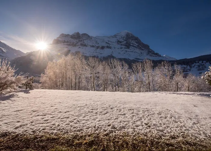 Billabong Grindelwald